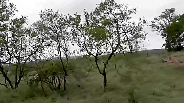 Super Taut Black Snatch Pounded By Large Shlong American In Camper Van